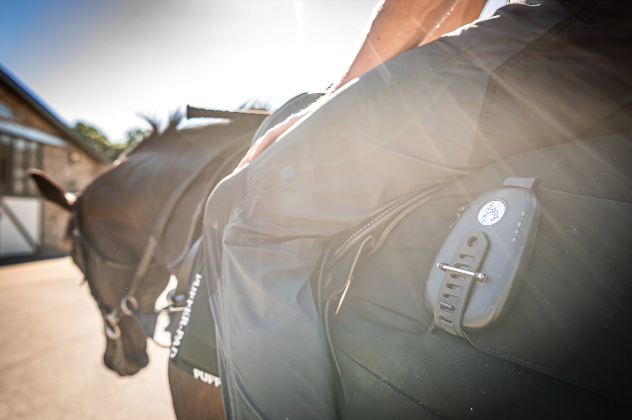 Horse product photo 2